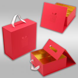 HARD BOX WITH COLLAPSIBLE COVER 3