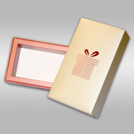 HARD BOX WITH MUFF 1