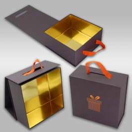 HARD BOX WITH COLLAPSIBLE COVER 4
