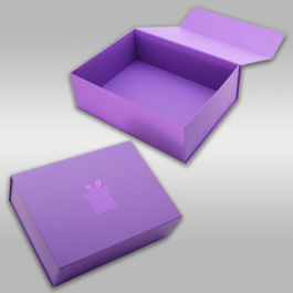 HARD BOX WITH MAGNETS 1