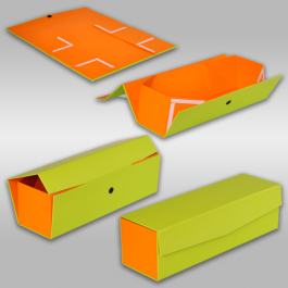 COLLAPSIBLE HARD BOX FOR BOTTLES 1 COLOR