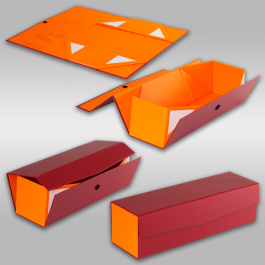COLLAPSIBLE HARD BOX FOR BOTTLES 2 COLORS