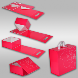 COLLAPSIBLE HARD BOX