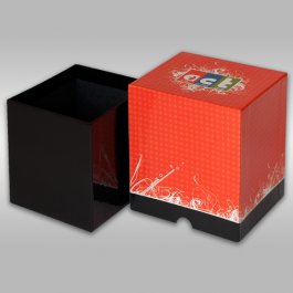HARD BOX FOR SHOES 4 COLOURS OFFSET